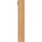 Ekena Millwork Traditional Block Smooth Bracket w/ Offset Brace, Western Red Cedar, 3 1/2"W x 14"D x 22"H BKT0402X14X22TRA05SWR - alternate 3